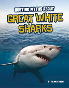 Busting Myths about Great White Sharks