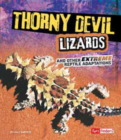 Thorny Devil Lizards