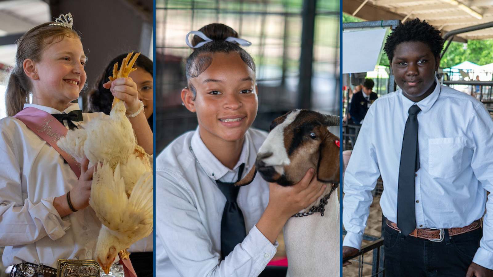 Spring ISD Livestock Show &amp; Fair celebrates 75 years of student dedication and community impact