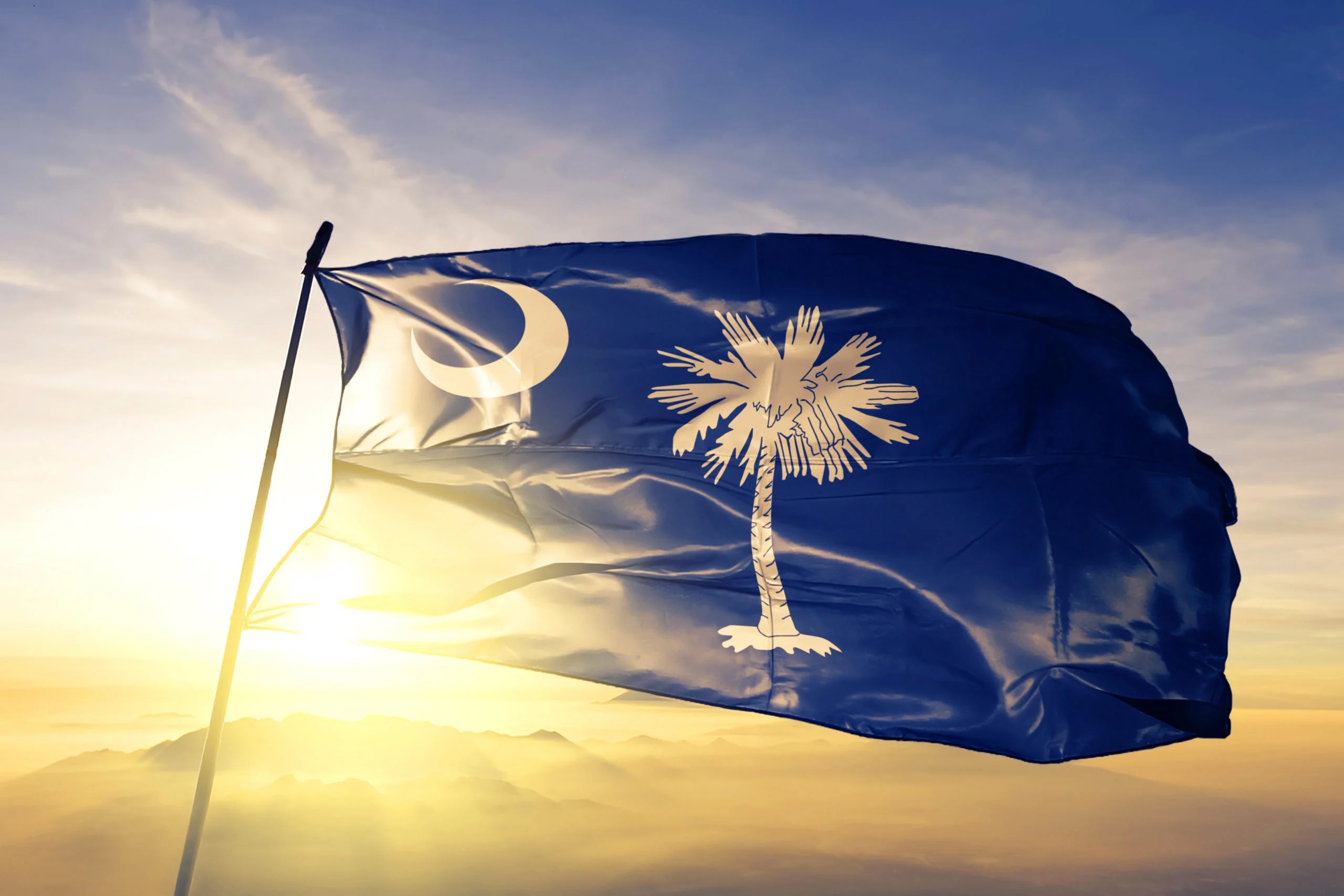 SC state flag