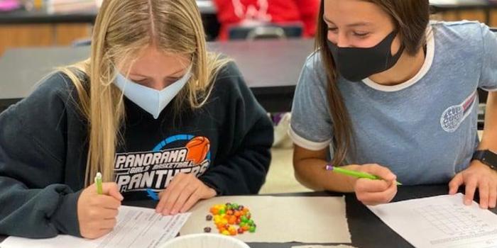 Two students doing homework together