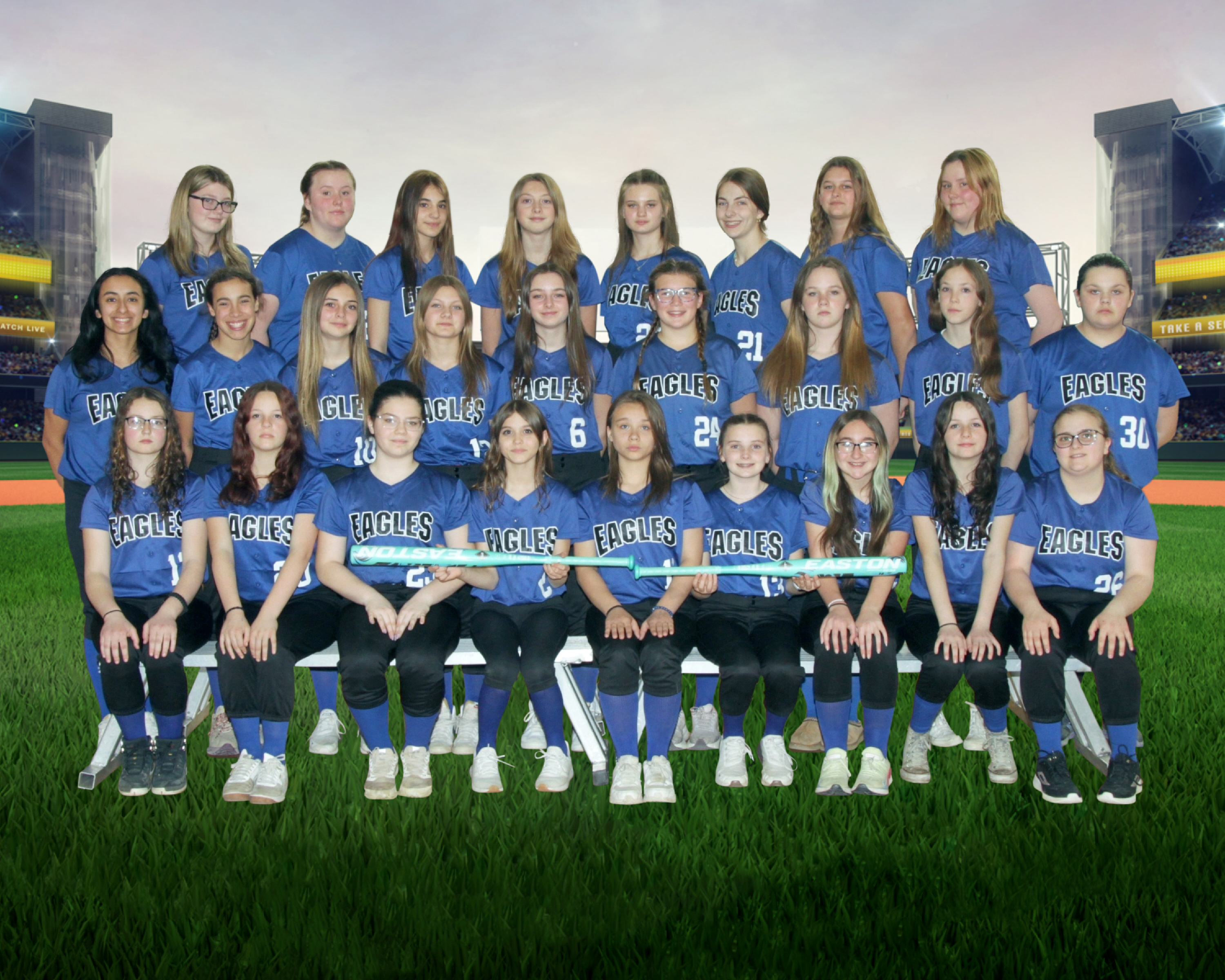 D-H Modified Softball