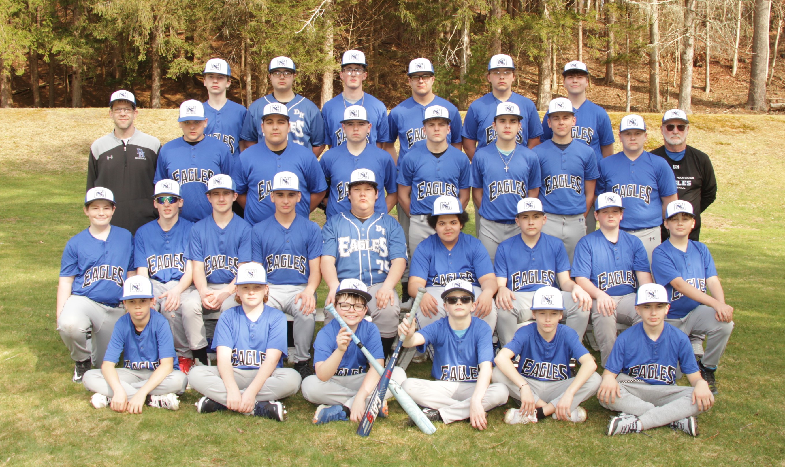 D-H Modified Baseball