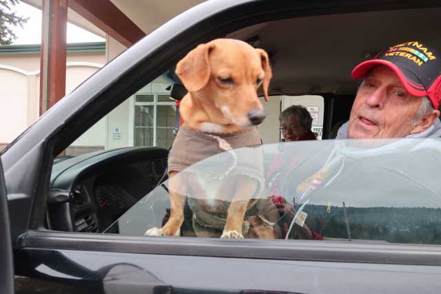 Dog at Veterans Day Coffee & Doughnut Drive Through