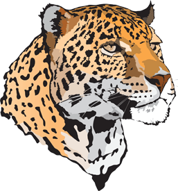 jaguar head logo