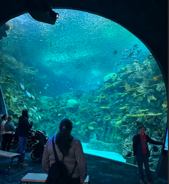 Aquarium