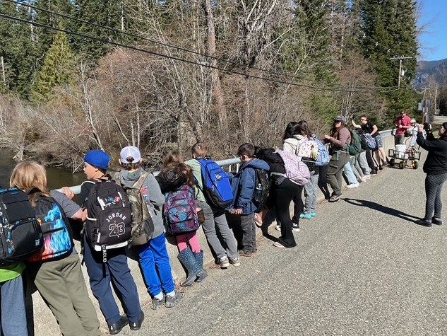 Salmon Release