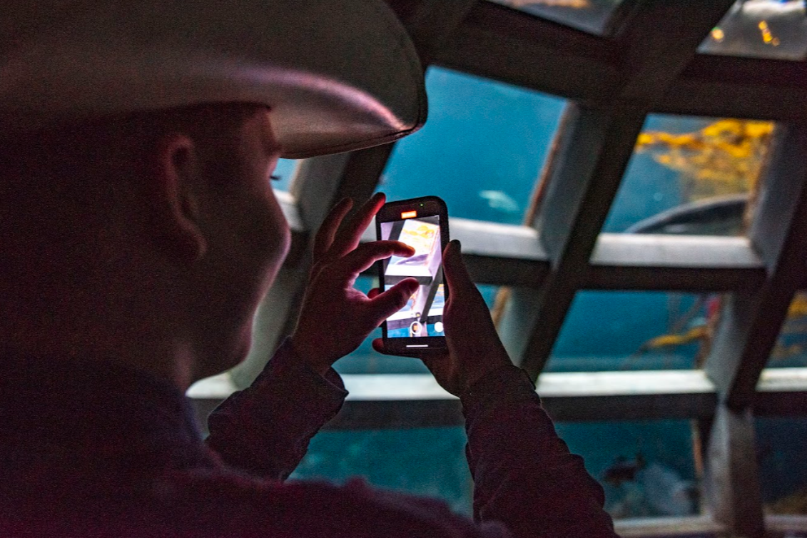 Aquarium