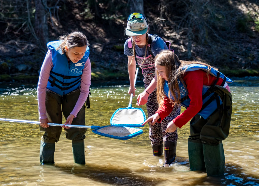 Salmon Release