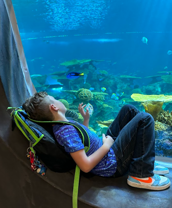 Aquarium