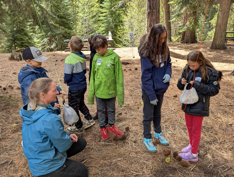SWUAK CAMPGROUND FIELD TRIP