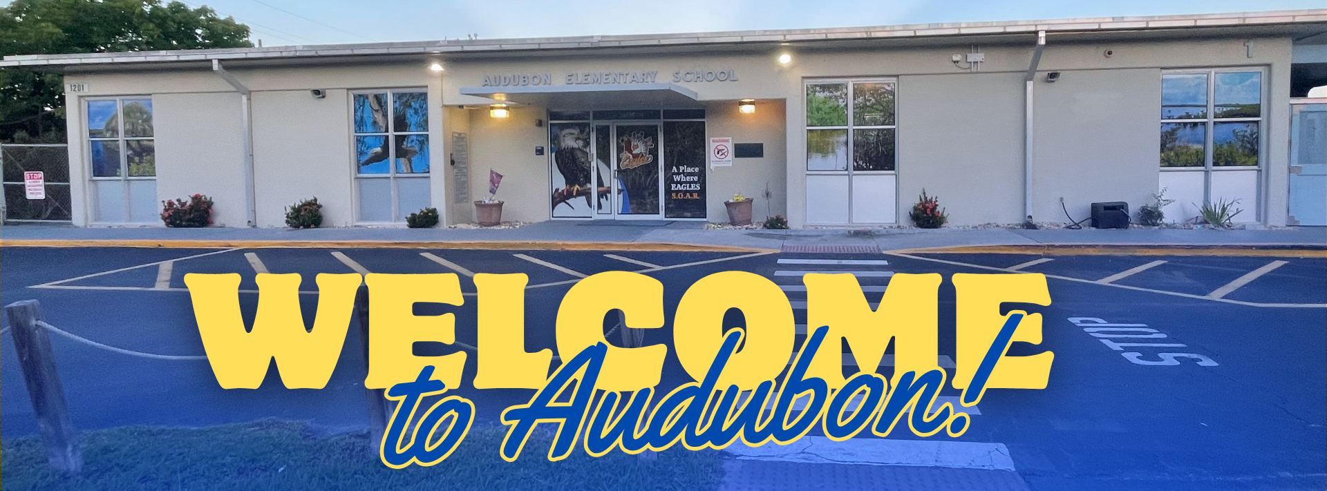 Welcome to Audubon