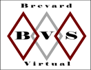 BVS Logo