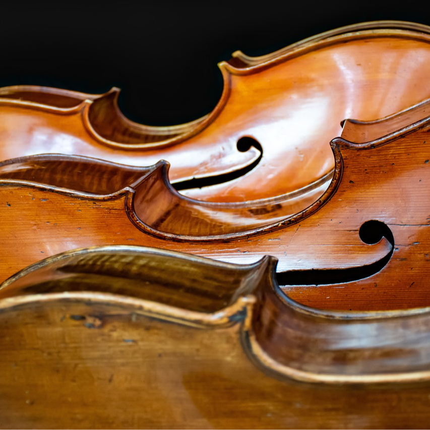A group of cellos