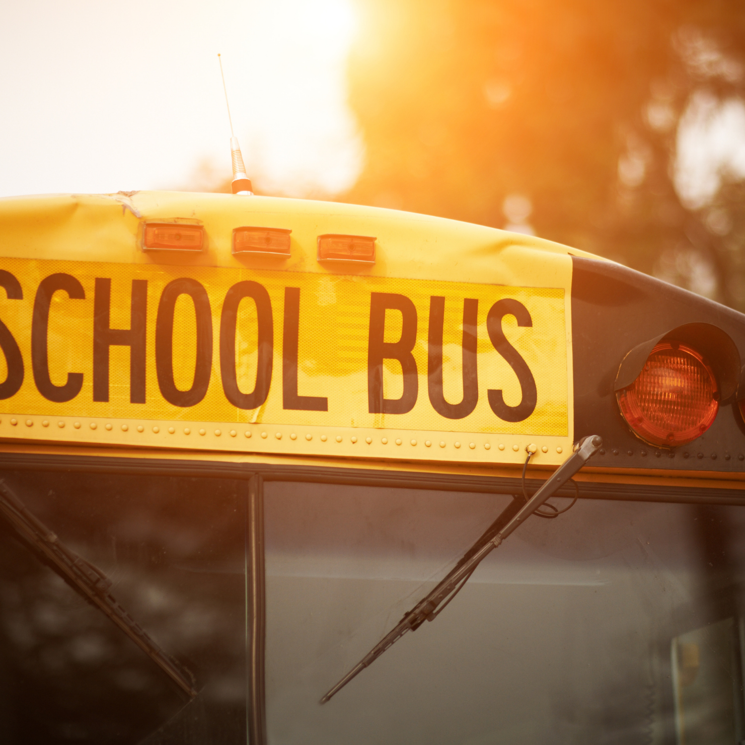 bus