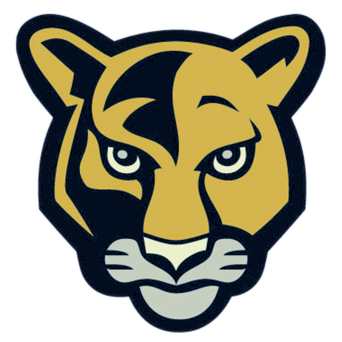 Overview Pinewood Elementary