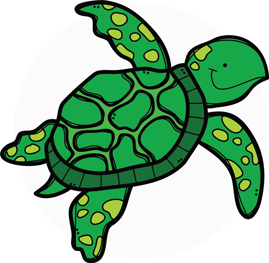 img Turtle 