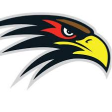 Picture of Hoover Hawk mascot.