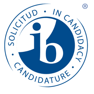 IB Candidacy, Solicitub, Candidature