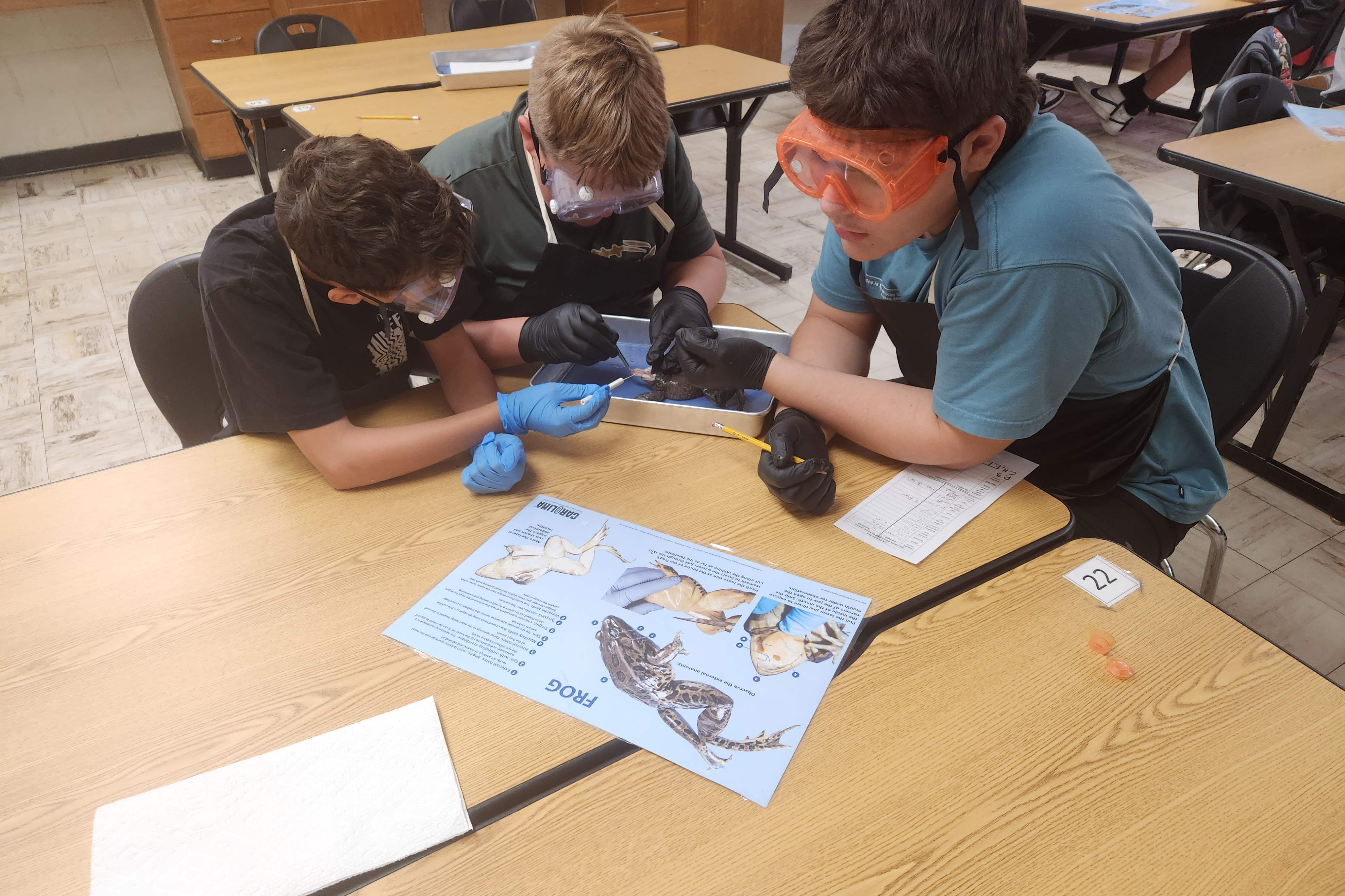 student participating in different labs.
