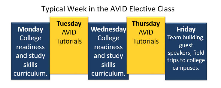 avid diagram
