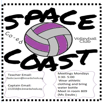 Volleyball flyer