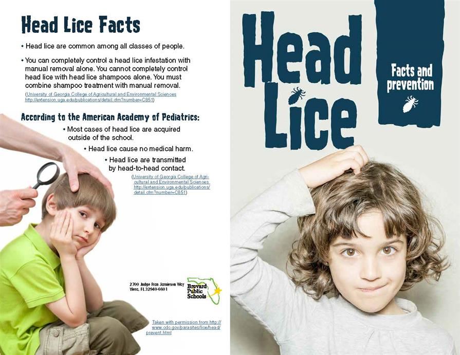 Head Lice flyer cover