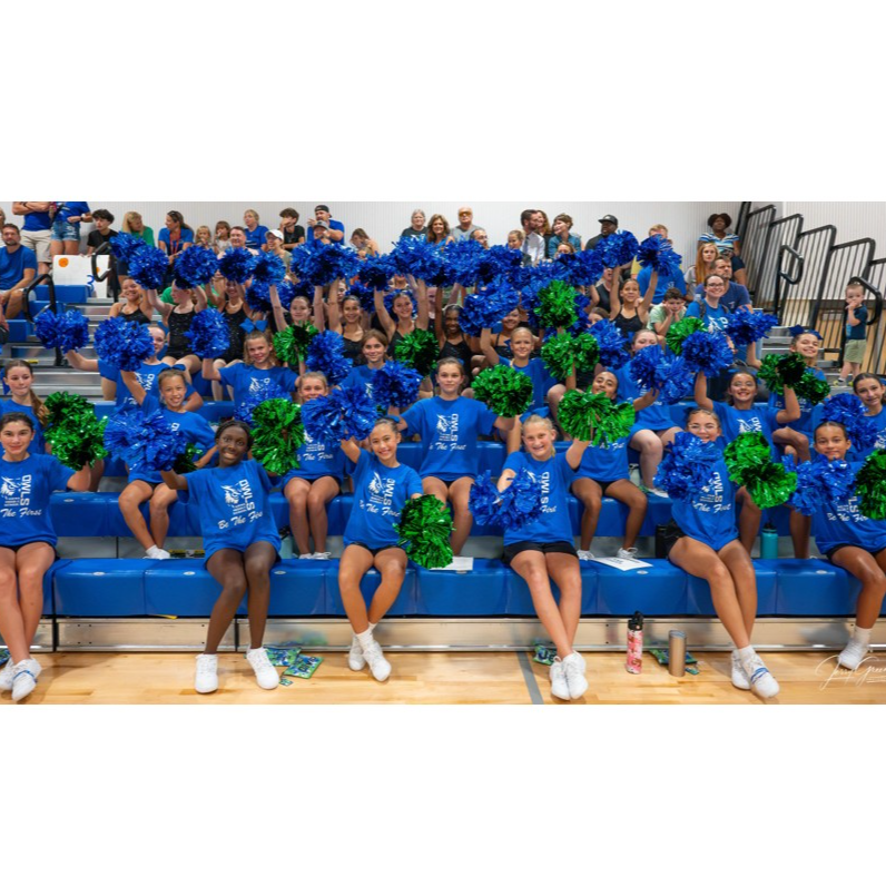 VMS Cheerleading