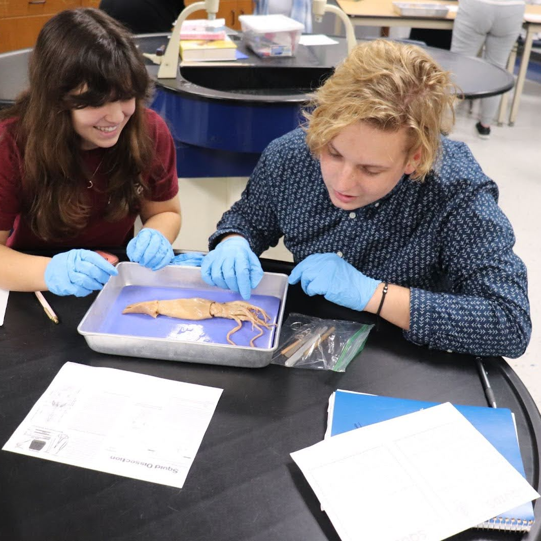 two students dissecting 