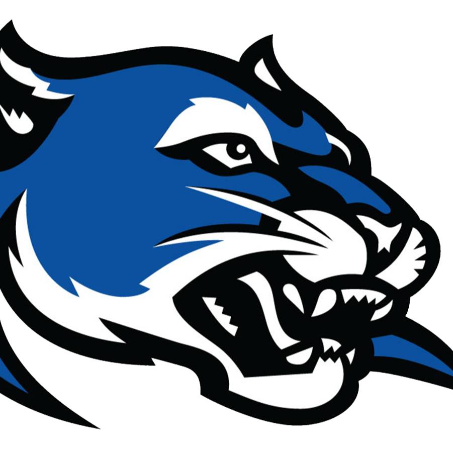 Panther Head 