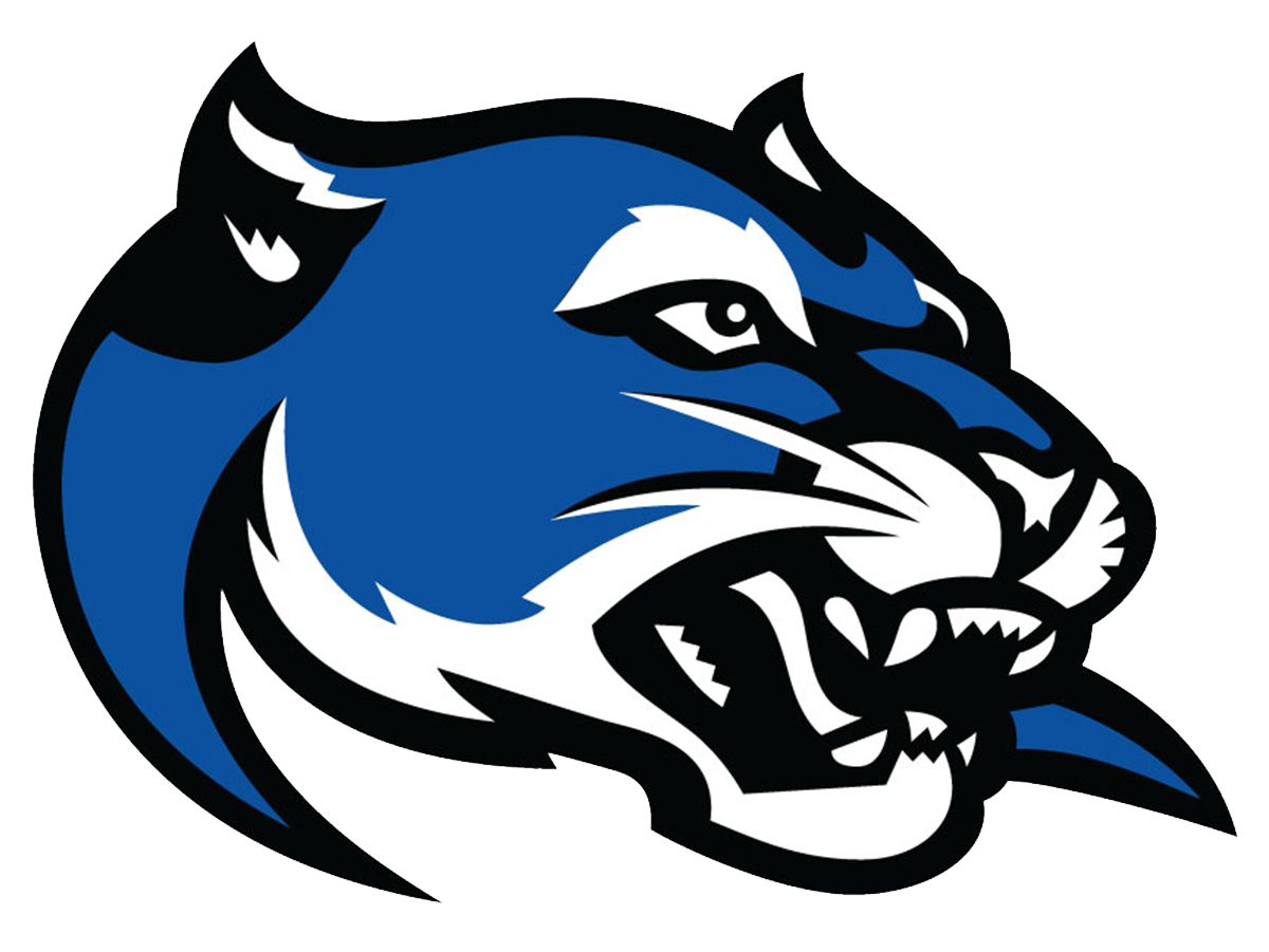 Panther Head