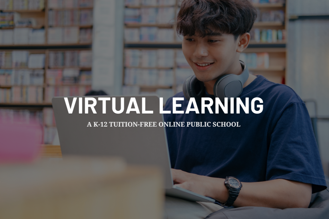 Online Virtual Learning