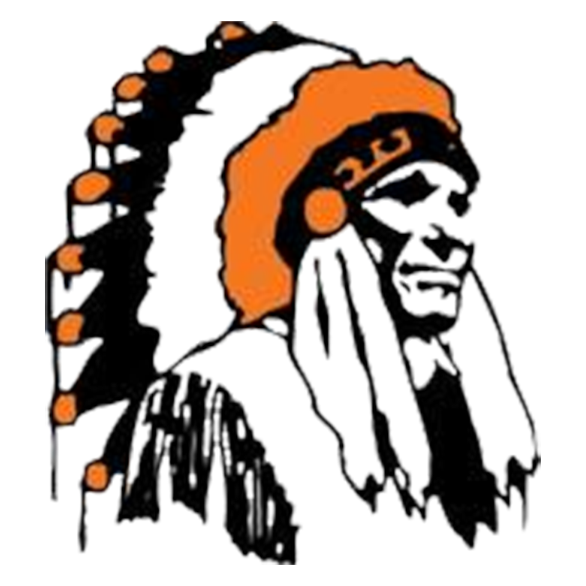 Athletics Altamont Community High School