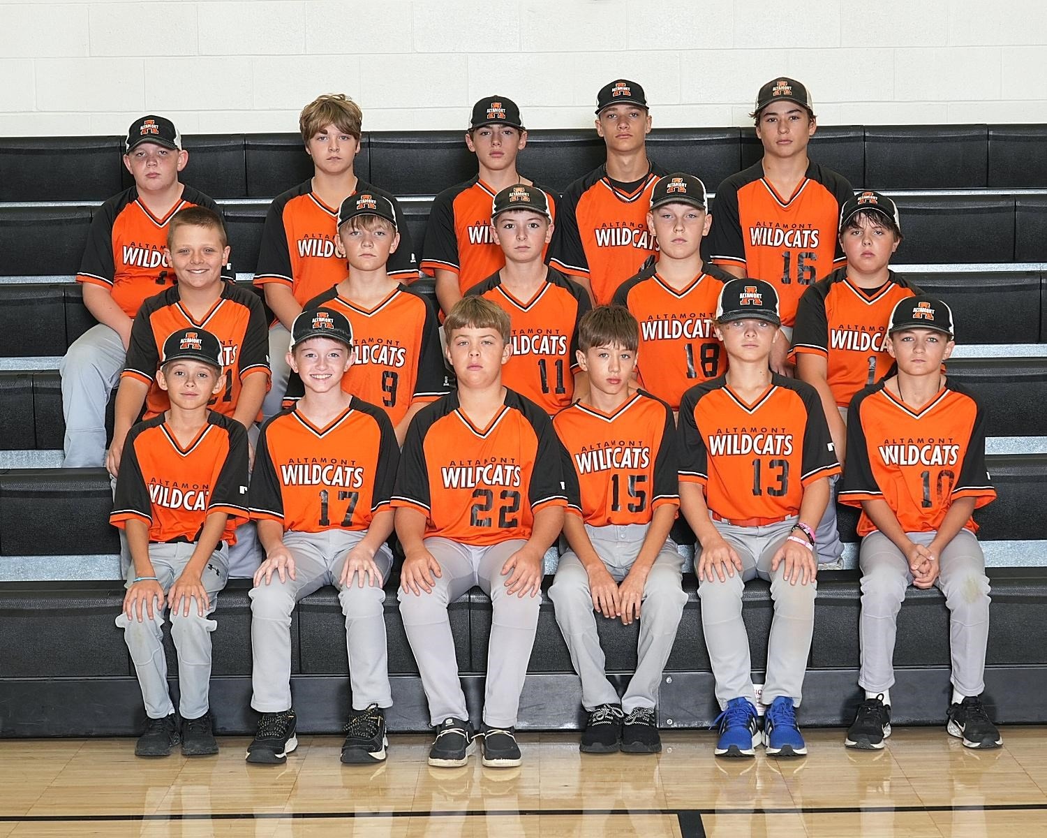 Baseball 1st base