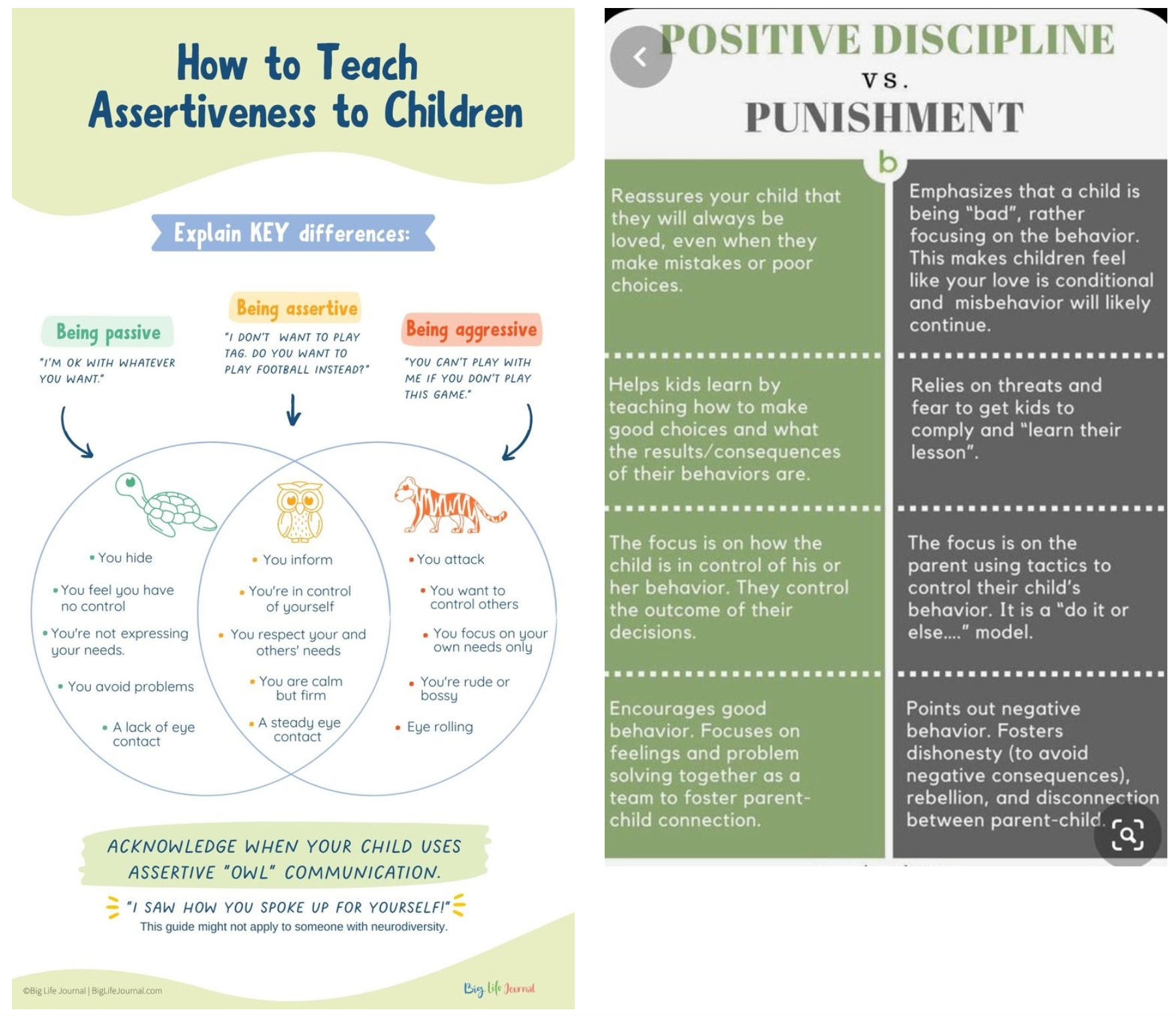 Assertiveness and Discipline Infographics