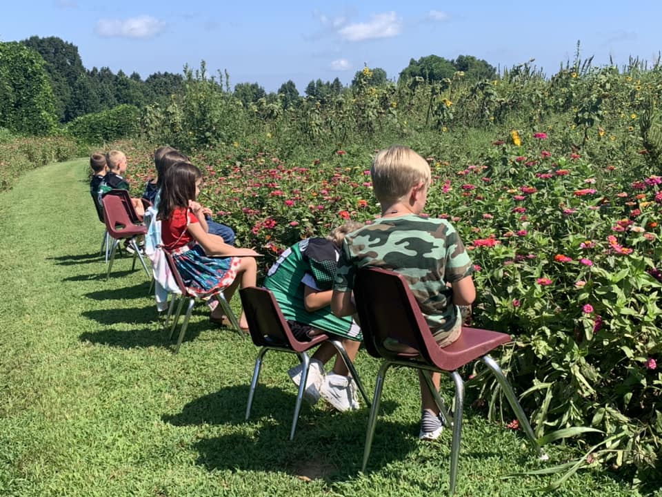 Ag Pollinators