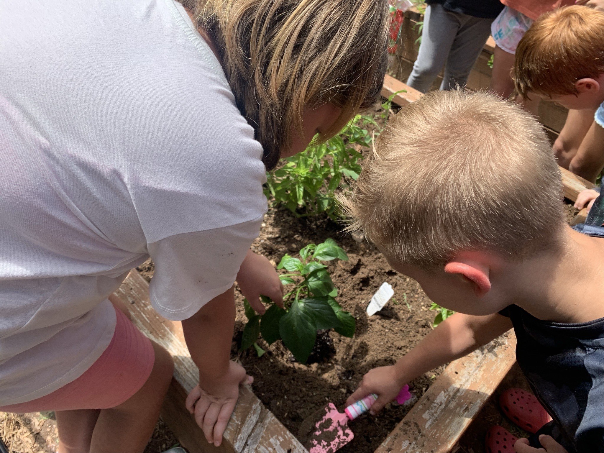 Raised Beds