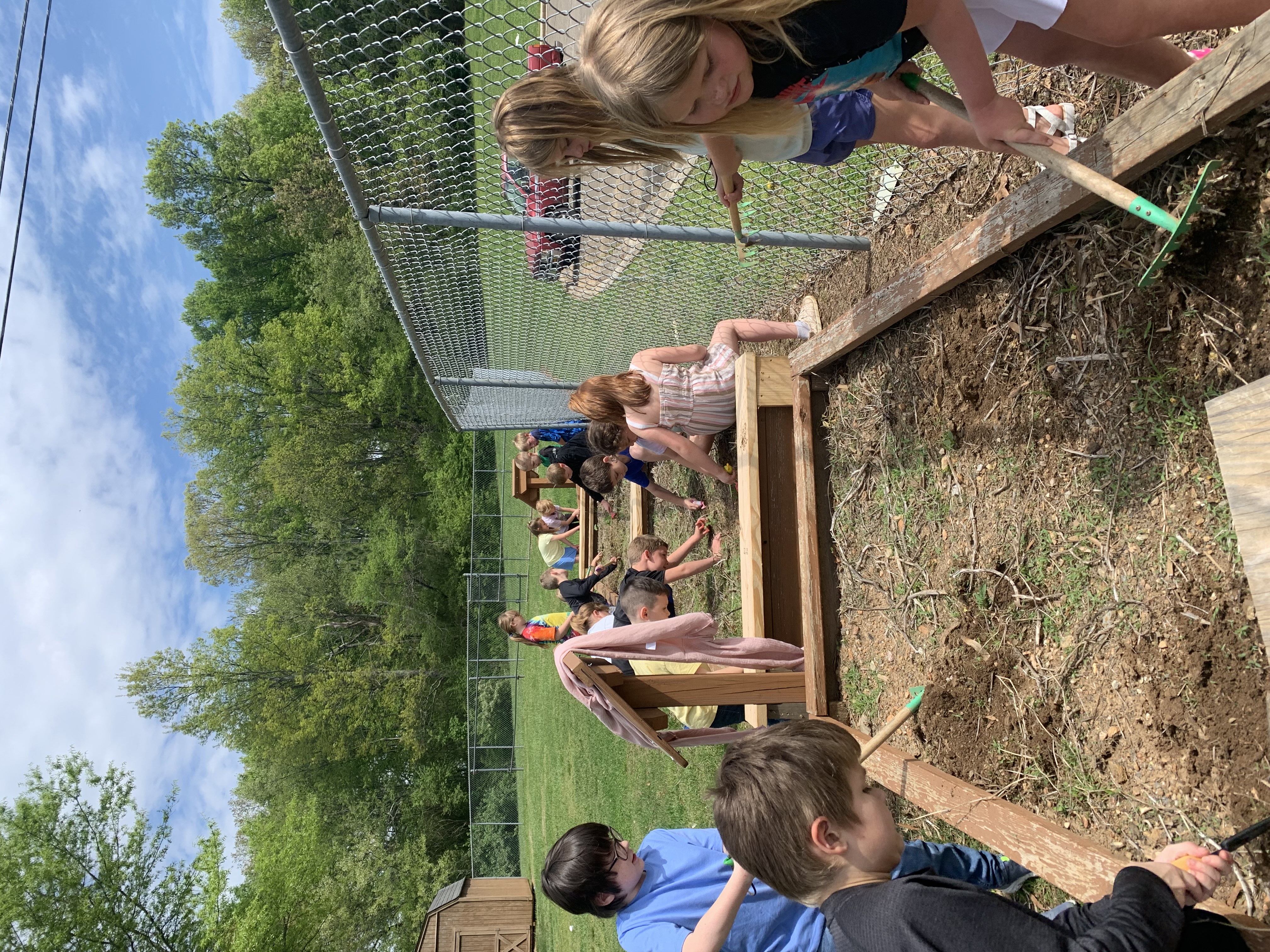 Raised Beds