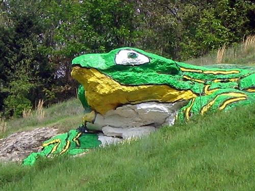 Frog rock