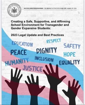 Gender Expansive Transgender PDF