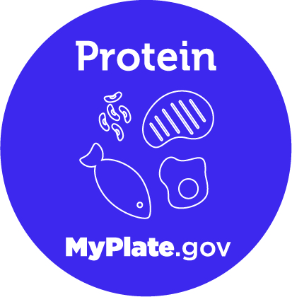 My Plate Protein