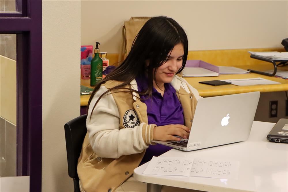 girl using a laptop