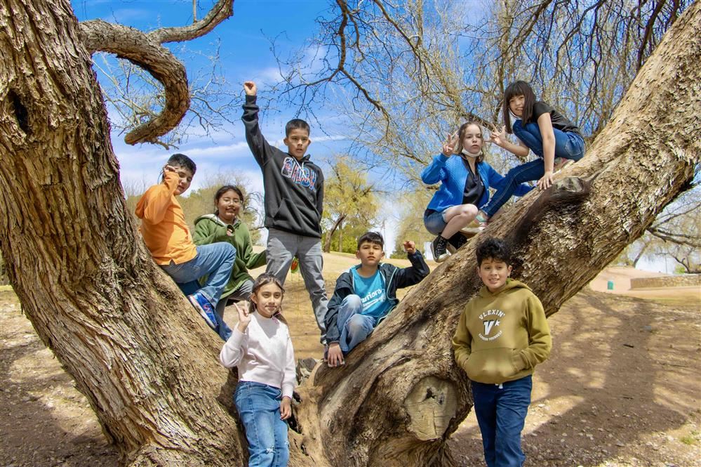 kids up on a tree smiling