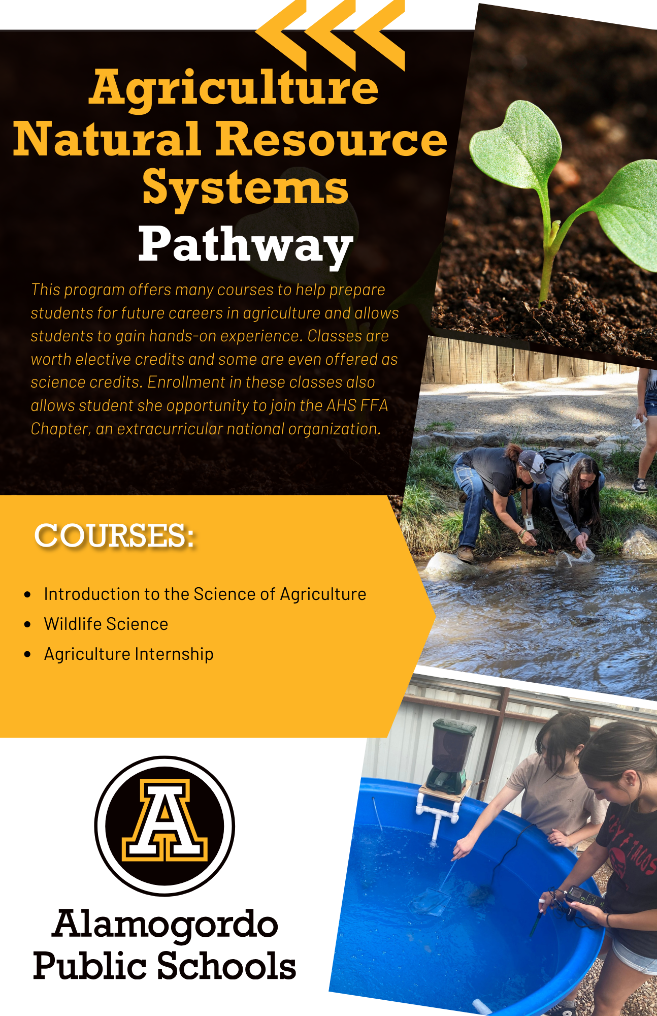 Sustainable Agriculture Flyer