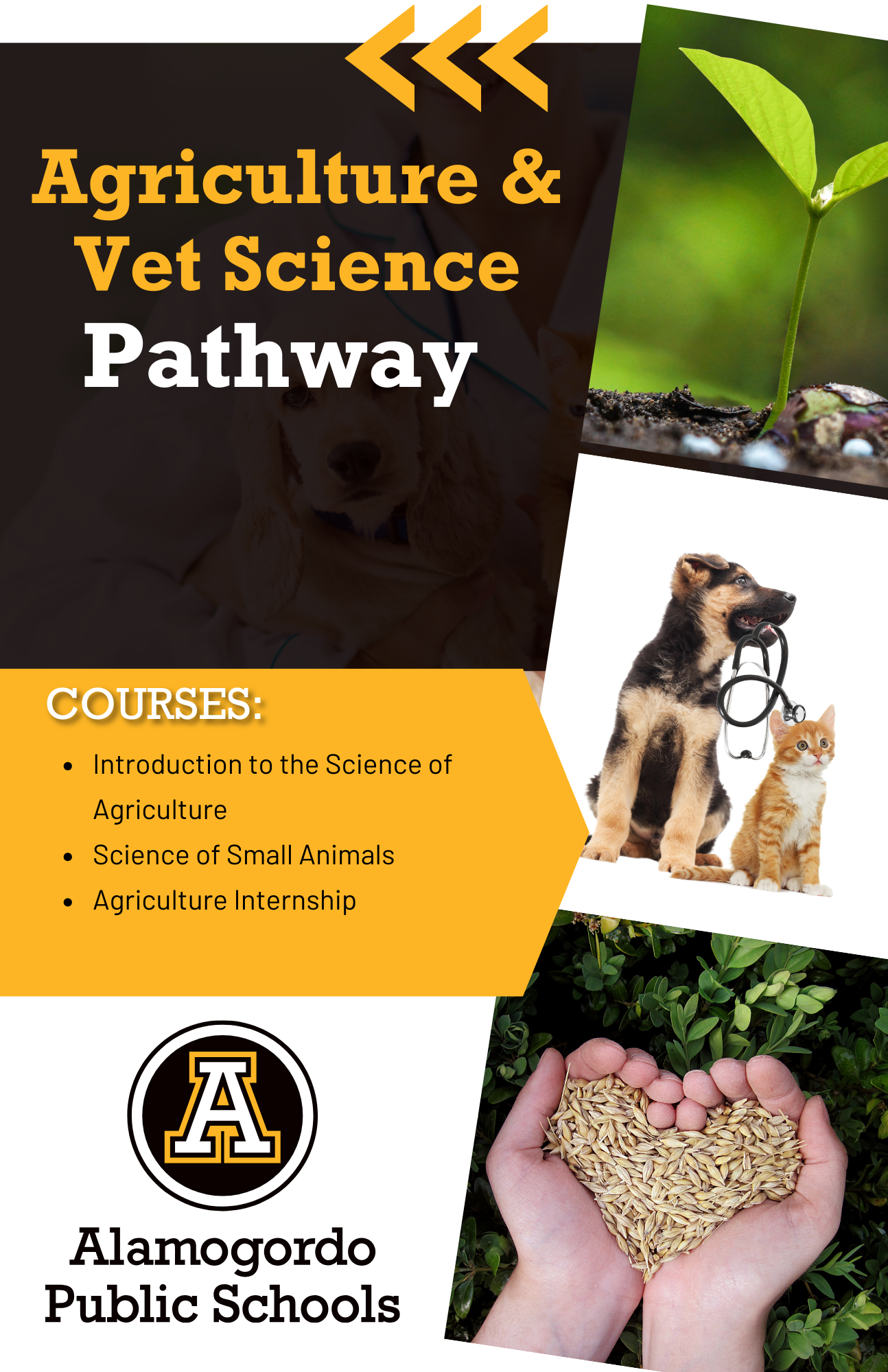 Agriculture & Vet Science Flyer 