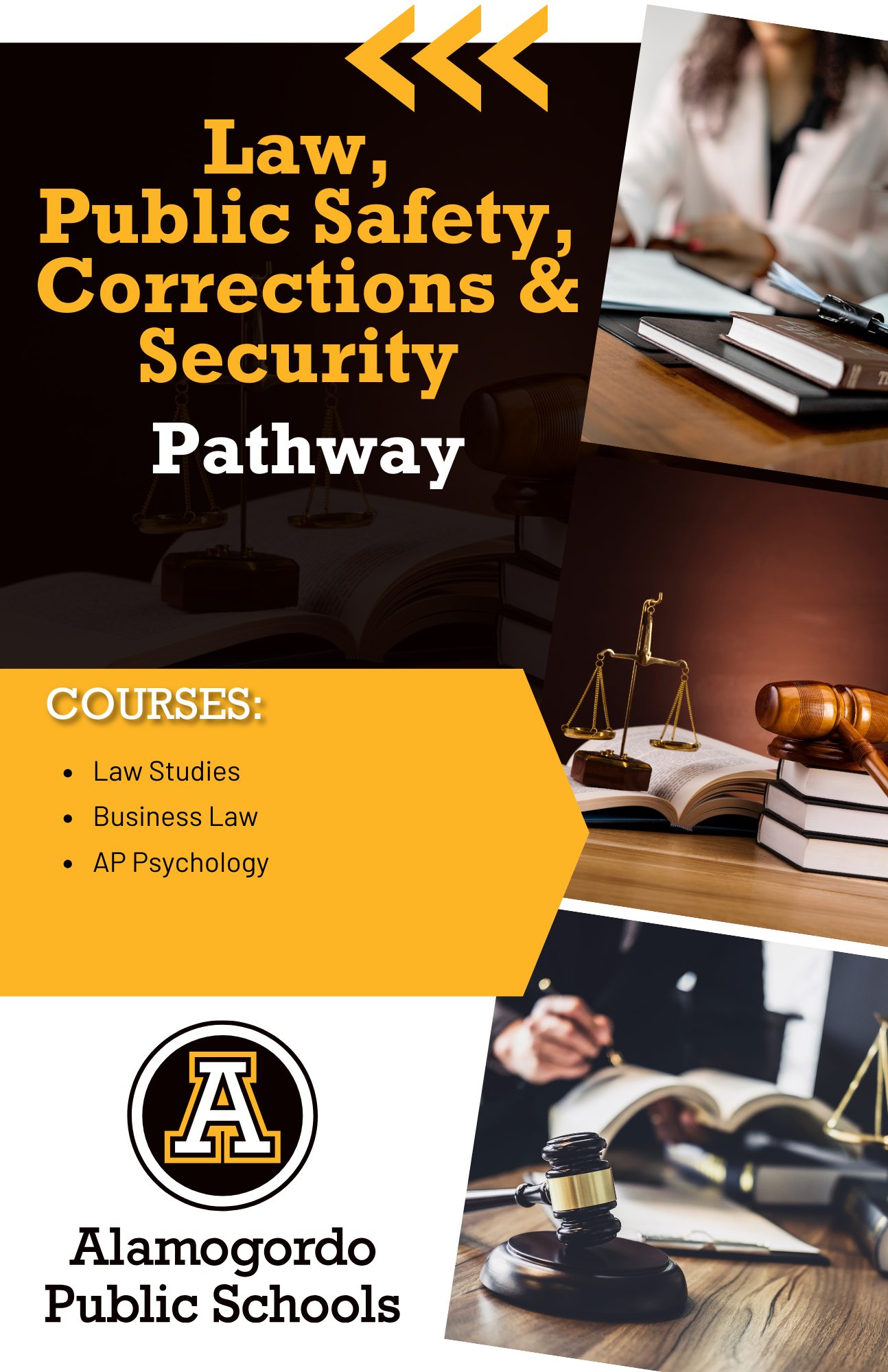 Law, Public Safety, Corrections & Security Pathway Flyer