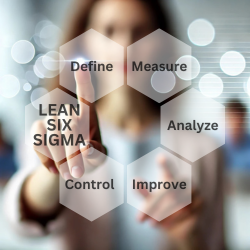 Lean Six Sigma