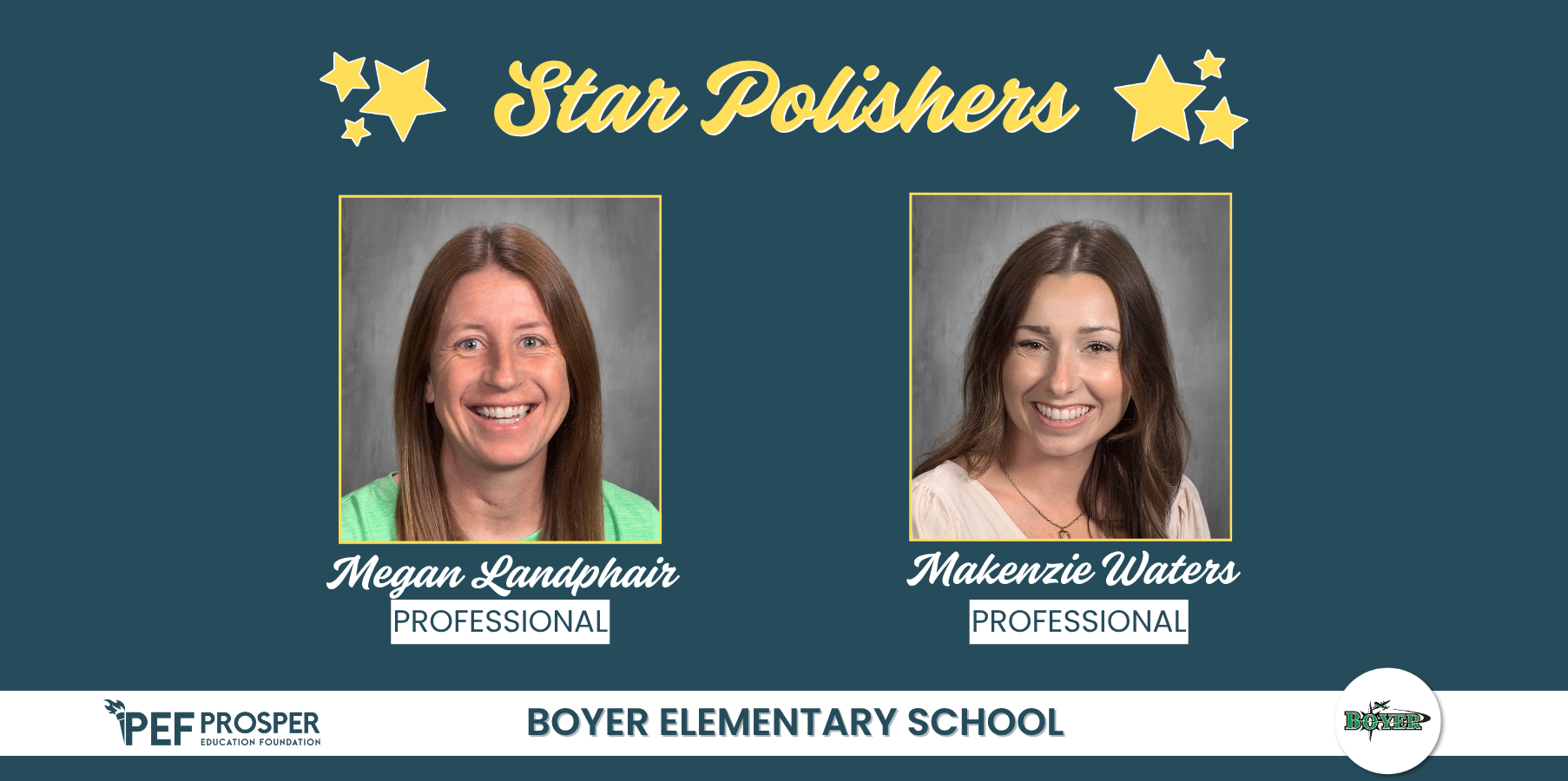 Professional Star Polishers