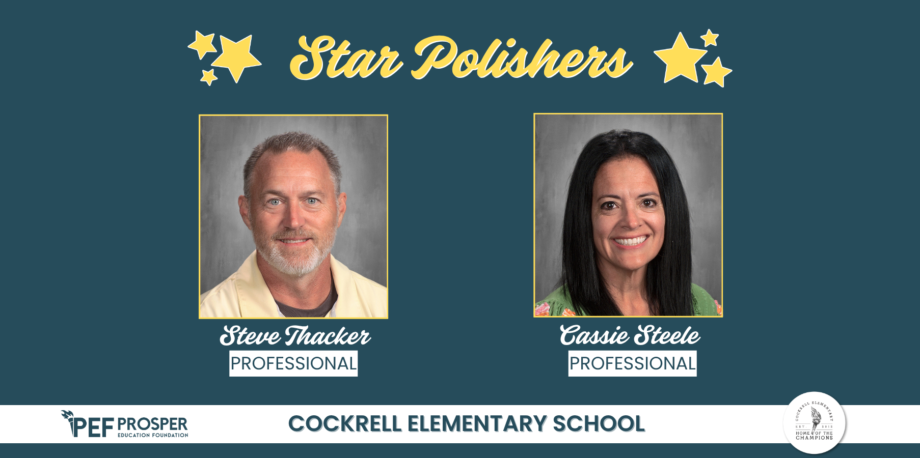 Professional Star Polishers