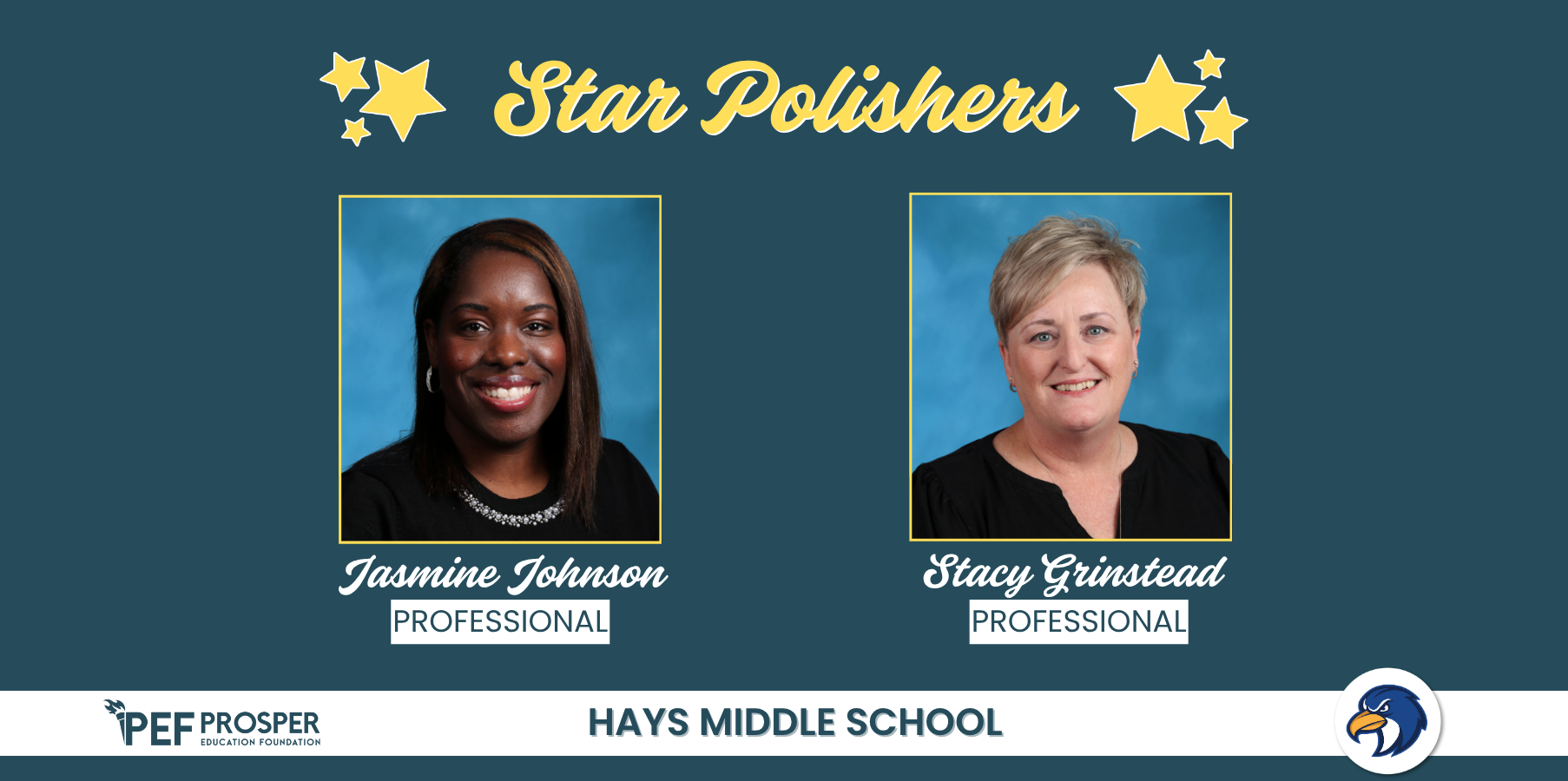 Professional Star Polishers